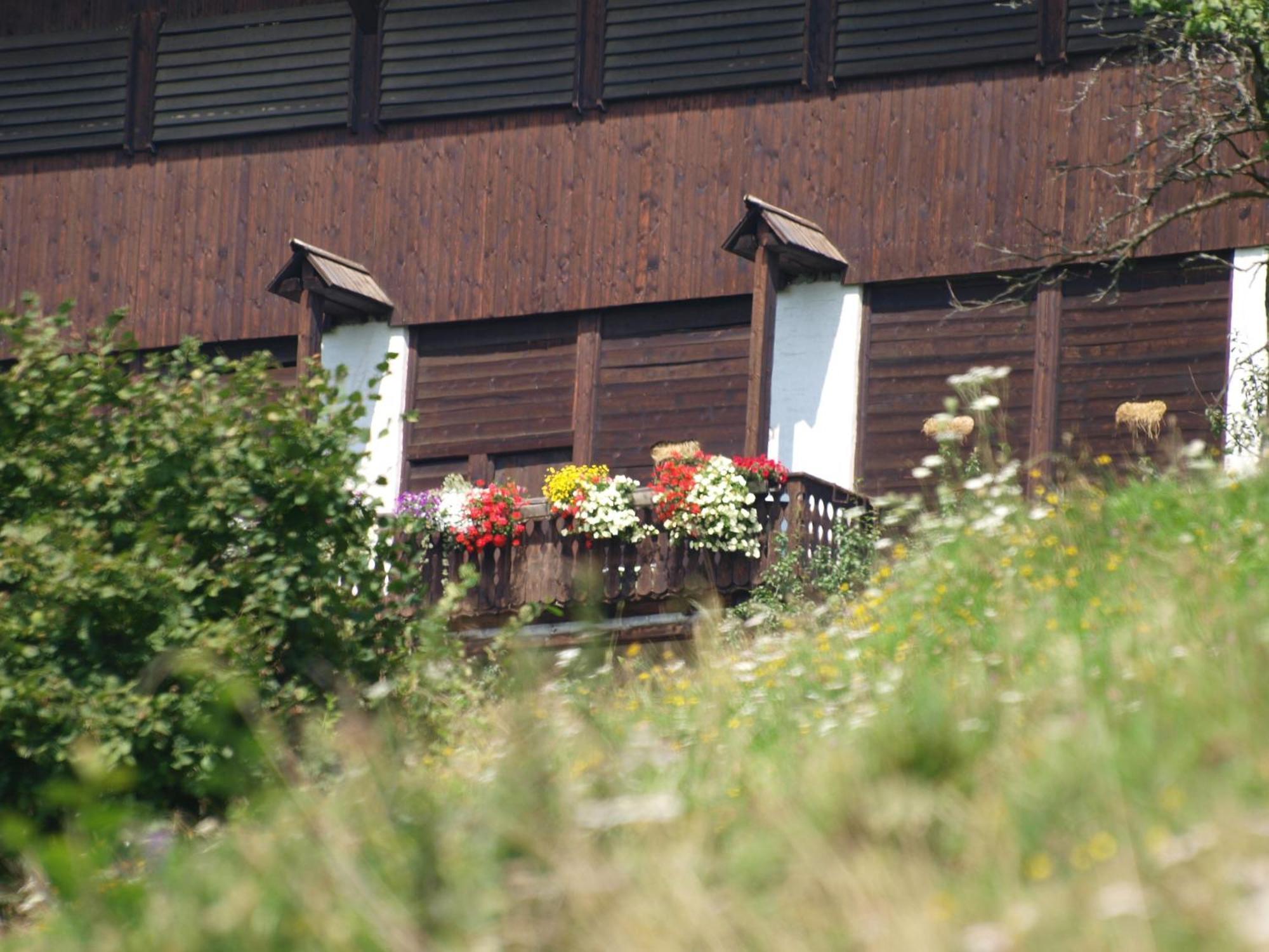 Hochfelner-Prutti - Stockerhof Villa Sankt Marein bei Knittelfeld Bagian luar foto