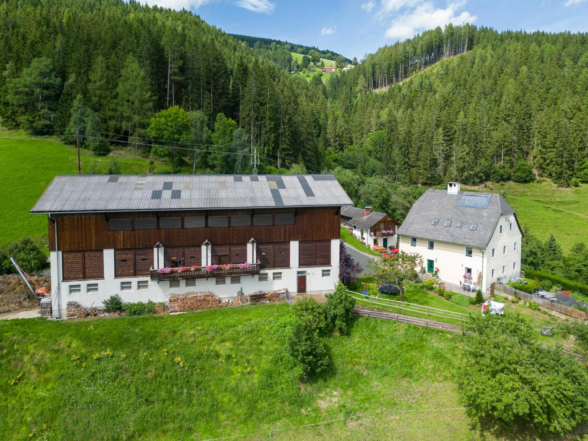 Hochfelner-Prutti - Stockerhof Villa Sankt Marein bei Knittelfeld Bagian luar foto